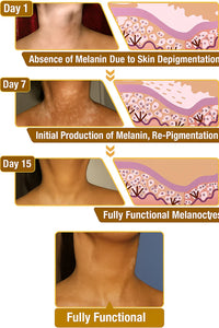 Bee Venom Skin Corrector Cream